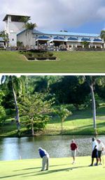 Photos of Carambola
